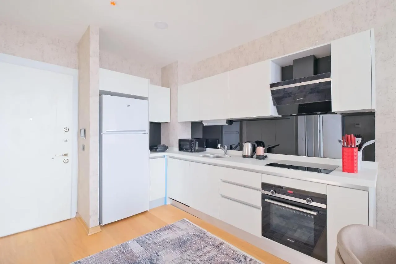 Fortis Yeni Kadikoy By Newinn Residence Istanboel 0*,  Turkije
